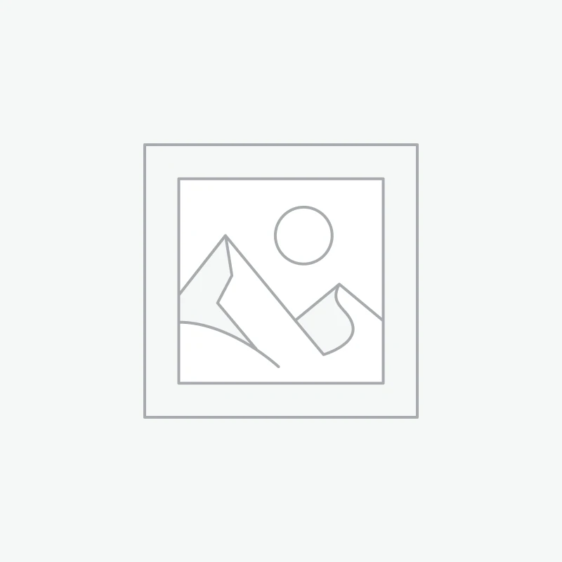 TEDDY SMITH SWEAT SORRY